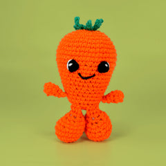 Knitty Critters - Fruit & Veg Heads I Carrot Cake | DIY Amigurumi Crochet Kit