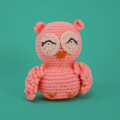 Knitty Critters - Pouch Pals | Oliver Owl | DIY Amigurumi Crochet Kit