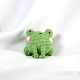 Knitty Critters - Pouch Pals I Pickles The Frog| DIY Amigurumi Crochet Kit