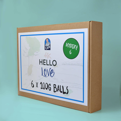 Stanley x Hello Love - Pack of 6 - Mystery 6