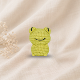 Knitty Critters - Pouch Pals V - Frankie Frog | DIY Amigurumi Crochet Kit