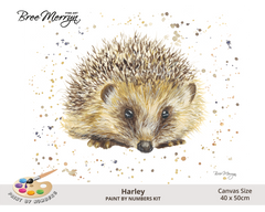 Bree Merryn Paint By Numbers 40cm x 50cm - Harley
