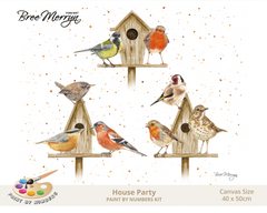 Bree Merryn Paint By Numbers 40cm x 50cm - House Party