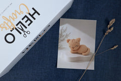 Hello Artisan Box - Yarnimals II - Clarence the Cat