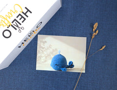 Hello Artisan Box - Yarnimals II - Winnie the Whale