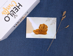 Hello Artisan Box - Yarnimals II - Saghir The Lion