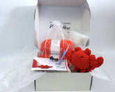 Hello Artisan Box - Yarnimals II - Colin the Crab
