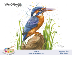 Bree Merryn Paint By Numbers 40cm x 50cm - Keira
