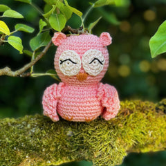 Knitty Critters - Pouch Pals | Oliver Owl | DIY Amigurumi Crochet Kit