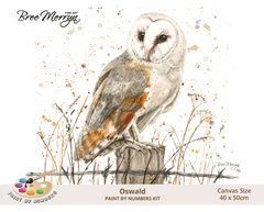 Bree Merryn Paint By Numbers 40cm x 50cm - Oswald
