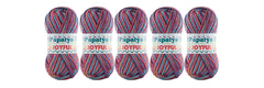 5 x 100g Papatya Joyful DK/Light Aran Yarn