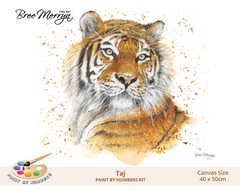 Bree Merryn Paint By Numbers 40cm x 50cm - Taj