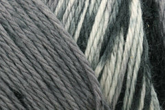 Caron Simply Soft Freckle Stripes 141g