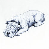 Cecil Aldin Man's Best Friend Cross Stitch Kit - Winston