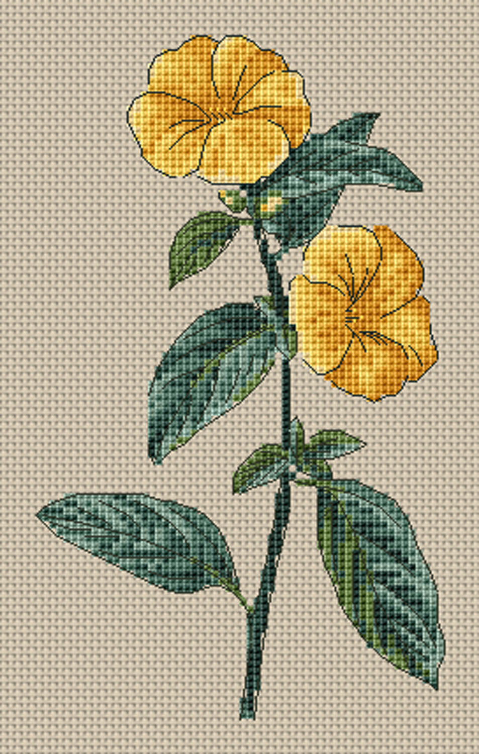 Floragenius Cross Stitch Kits - Linum Trigynum by Pancrace Bessa