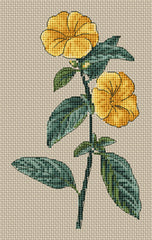 Floragenius Cross Stitch Kits - Linum Trigynum by Pancrace Bessa