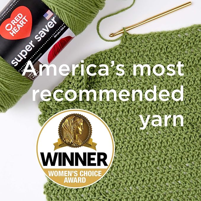 Red Heart Super Saver Super Yarn Knit Kit with Accessories for Knitting & Amigurumi Projects