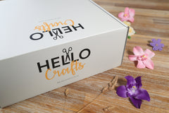 Hello Artisan Box - Billy Beetroot - Crochet kit gift box