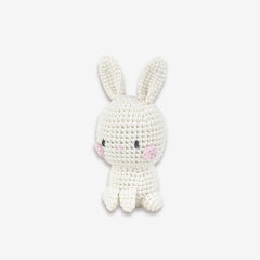 Knitty Critters - Mini Amigurumi - Binky | DIY Crochet Kit