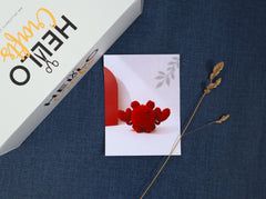 Hello Artisan Box - Yarnimals II - Colin the Crab