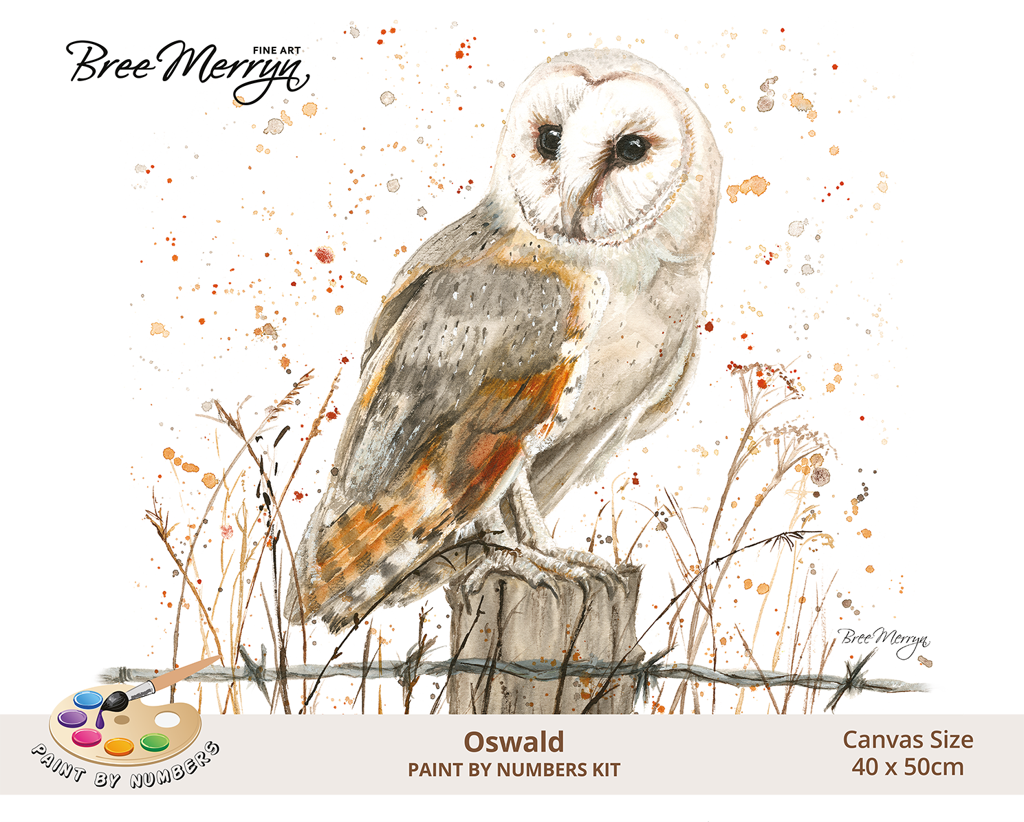 Bree Merryn Paint By Numbers 40cm x 50cm - Oswald
