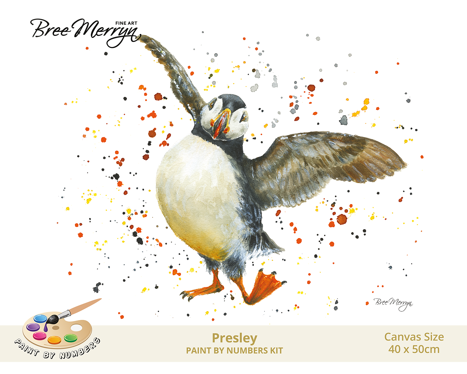 Bree Merryn Paint By Numbers 40cm x 50cm - Presley