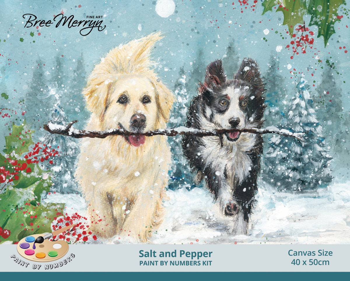 Bree Merryn Paint By Numbers Christmas 40cm x 50cm - Salt & Pepper