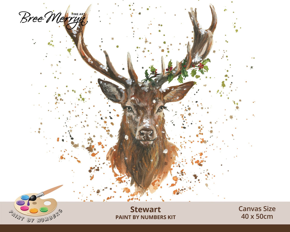 Bree Merryn Paint By Numbers Christmas 40cm x 50cm - Stewart
