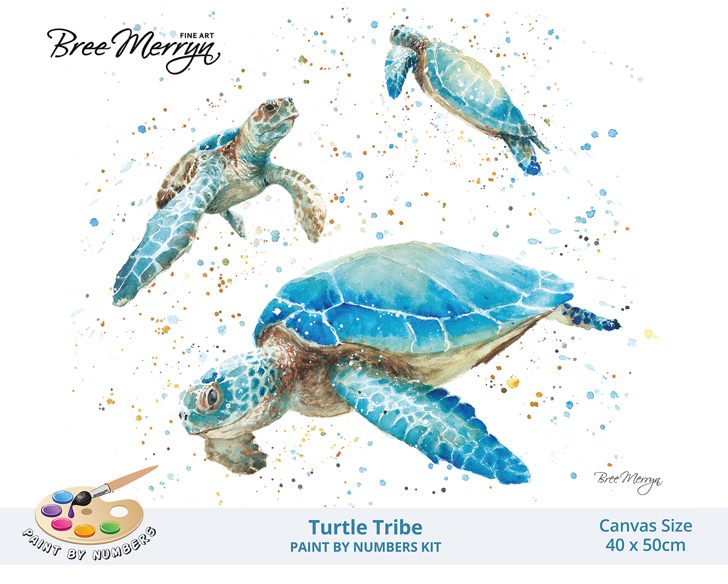 Bree Merryn Paint By Numbers 40cm x 50cm - Turtle Tribe