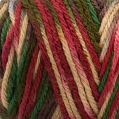 Caron Simply Soft Aran Yarn 141g - Paints & Heathers