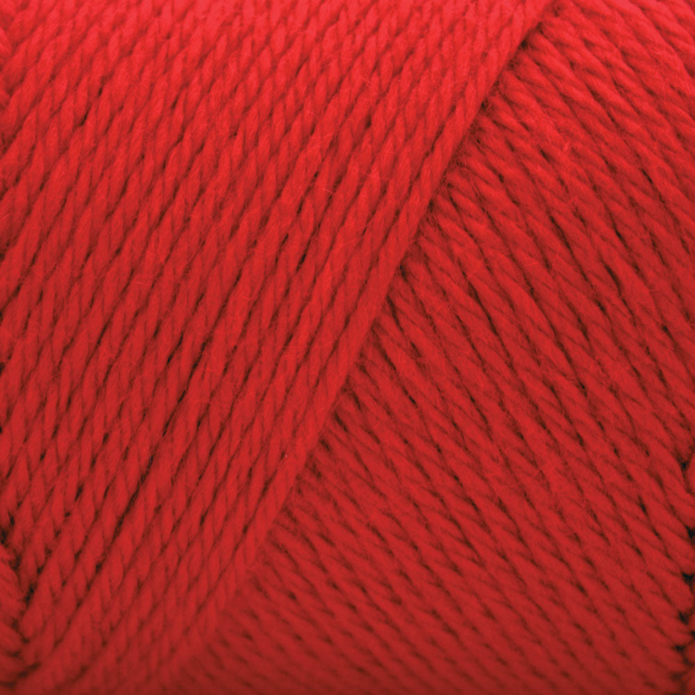 Caron Simply Soft Yarn 170g