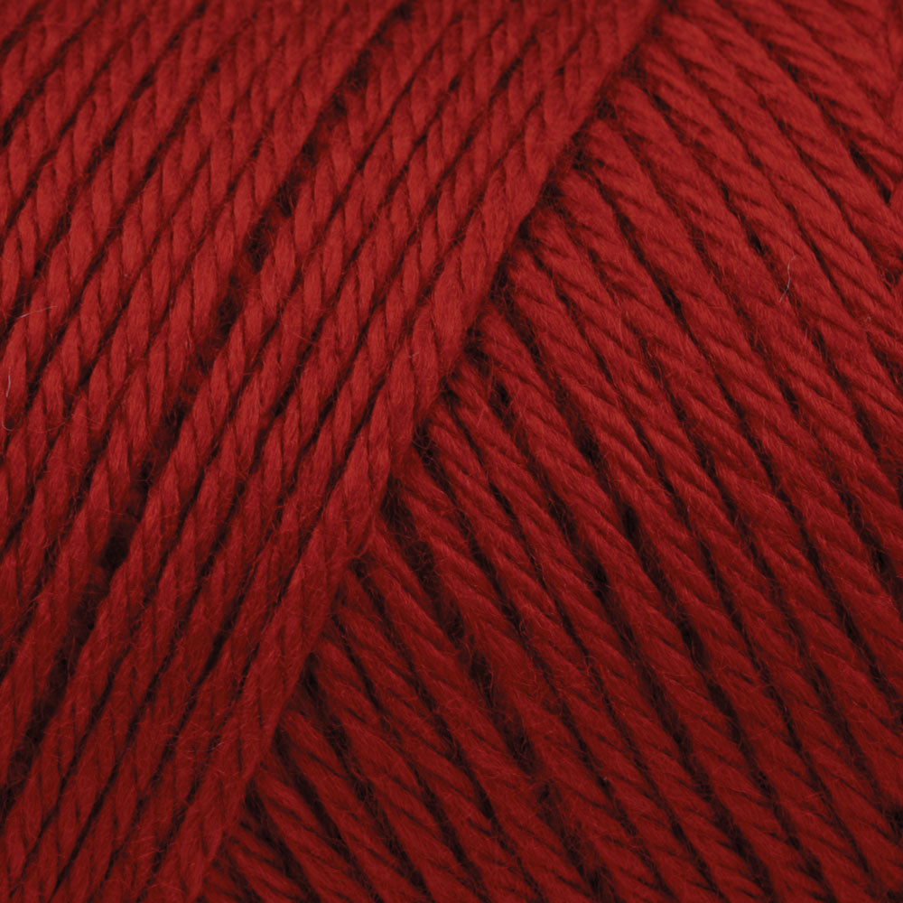 Caron Simply Soft Yarn 170g