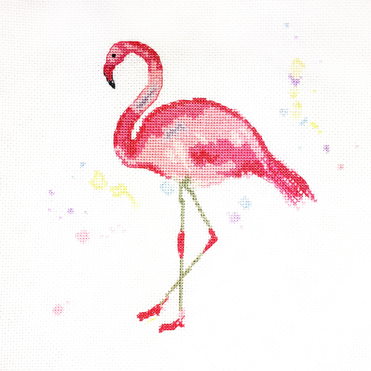 Charlotte Rennie Counted Cross Stitch - Flamboyance