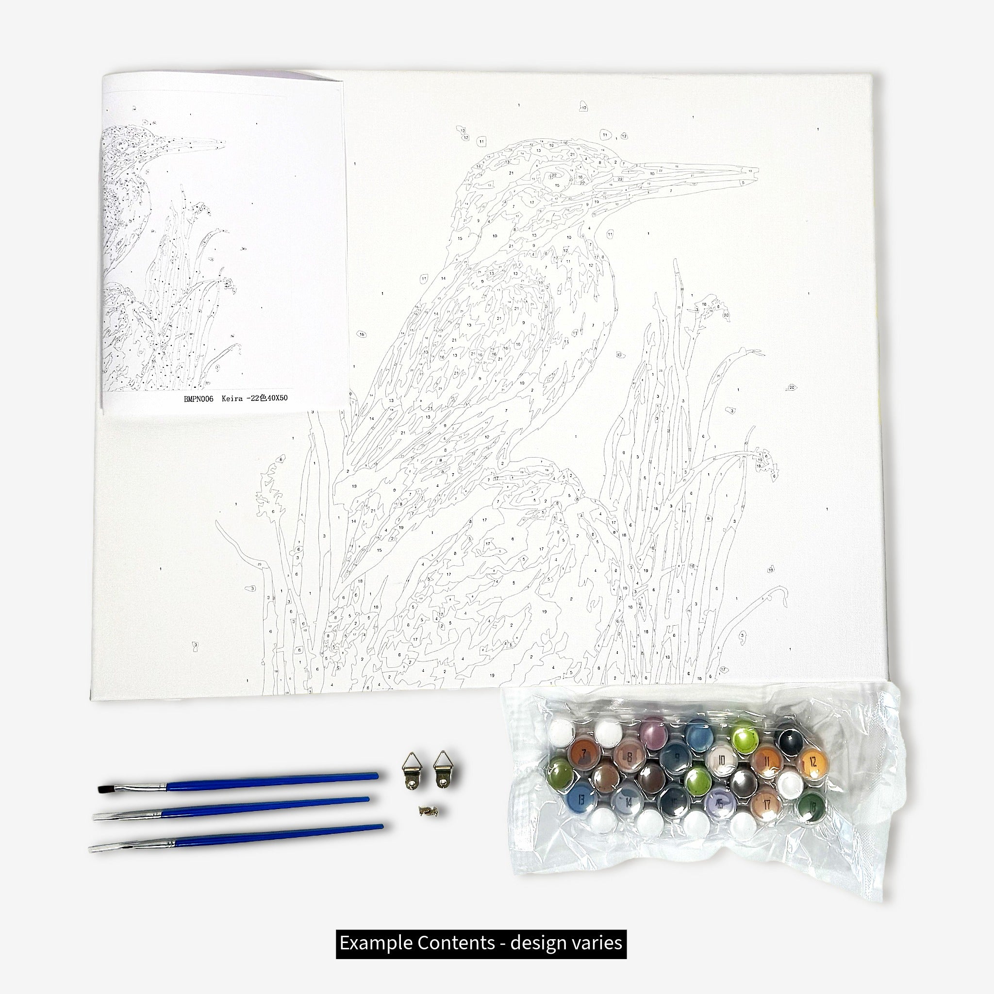Bree Merryn Paint By Numbers 40cm x 50cm - Oswald