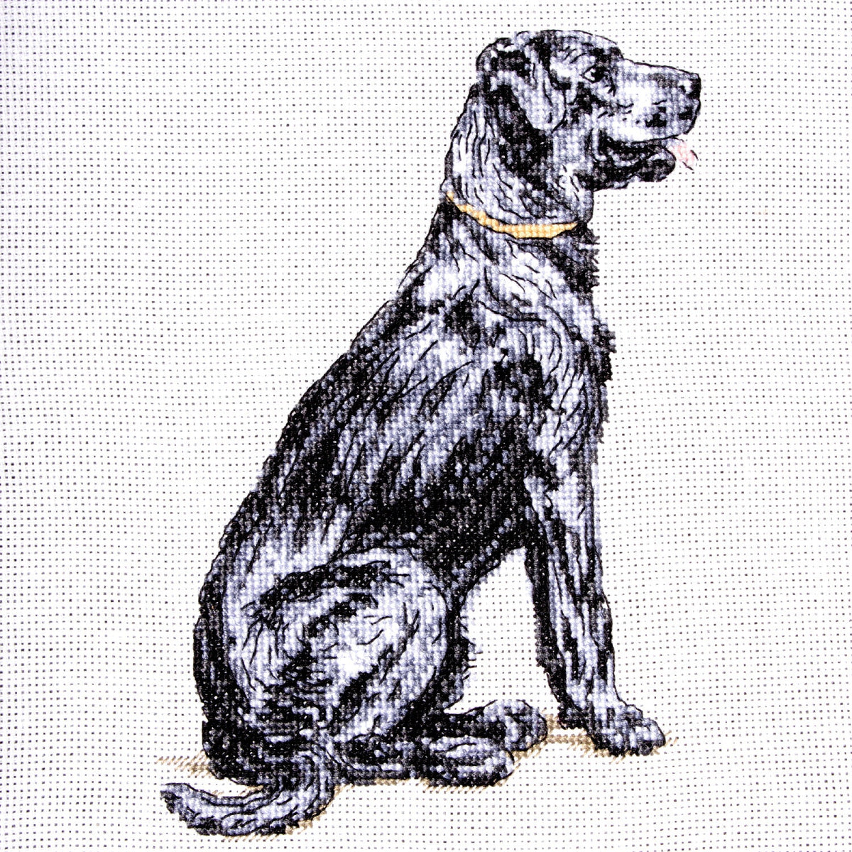 Cecil Aldin Man's Best Friend Cross Stitch Kit - Rex