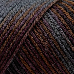 Caron Simply Soft Aran Yarn 141g - Paints & Heathers