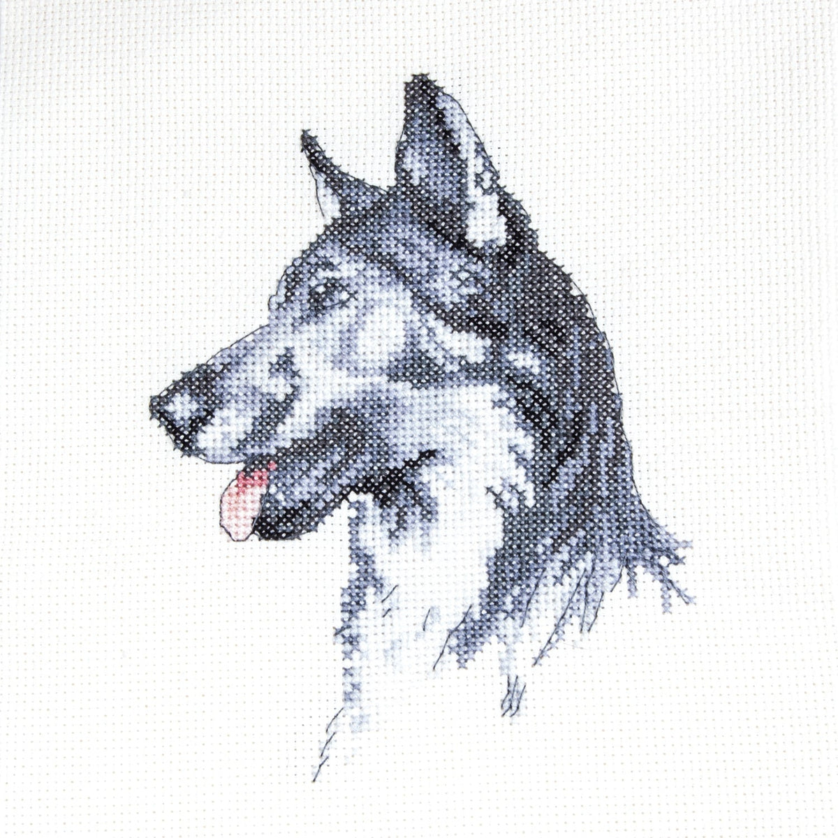 Cecil Aldin Man's Best Friend Cross Stitch Kit - Fred