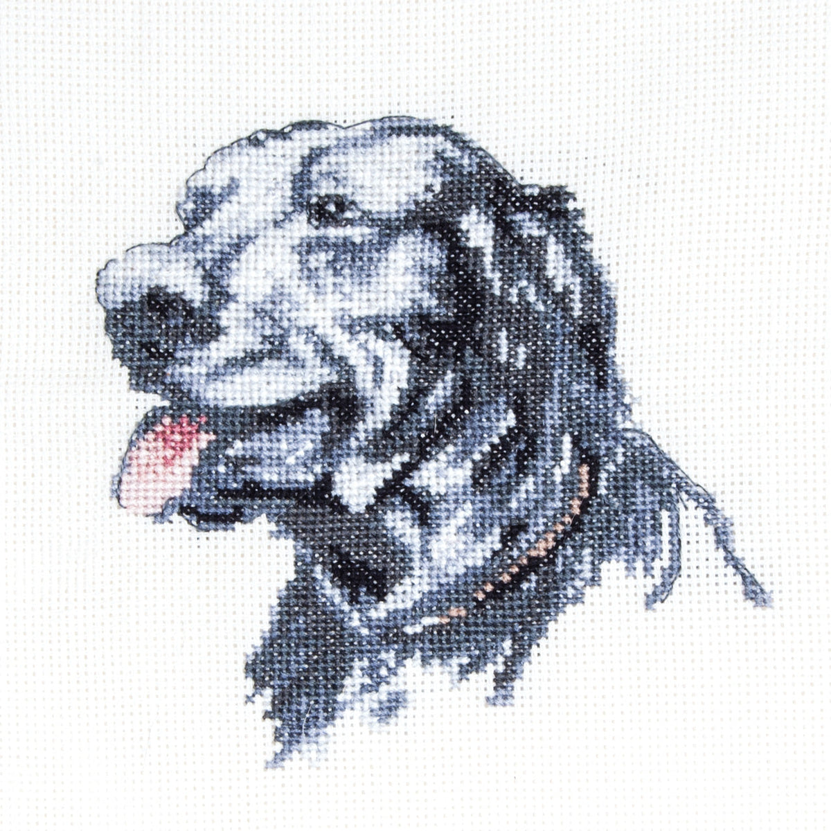 Cecil Aldin Man's Best Friend Cross Stitch Kit - Pilot